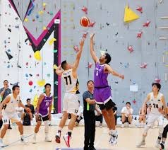 惠勒投球模型分析